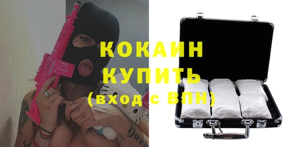 хмурый Алзамай