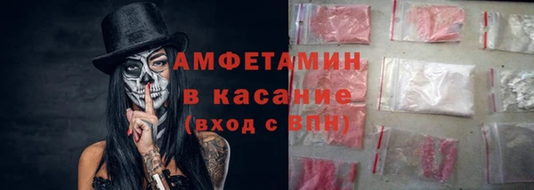 хмурый Алзамай