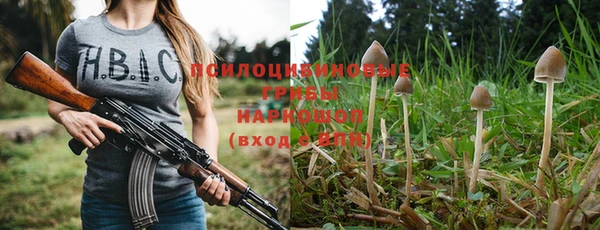 хмурый Алзамай