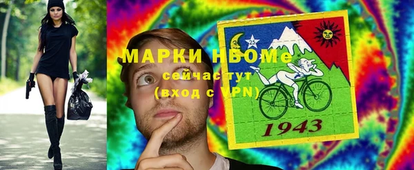 хмурый Алзамай