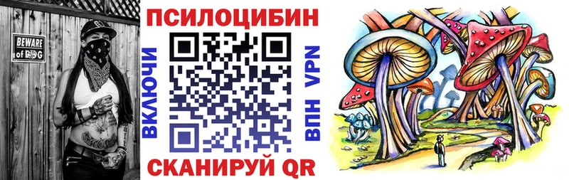 Галлюциногенные грибы Psilocybe  Малаховка 